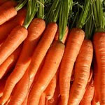 verduras ecologicas zanahorias
